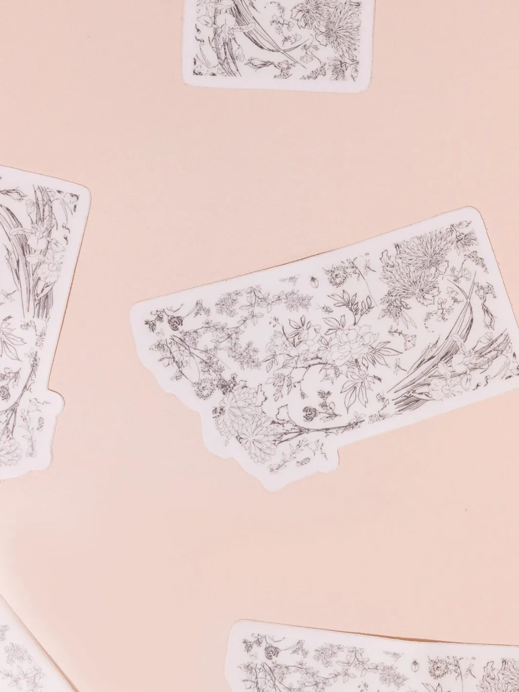 Botanical Montana Sticker