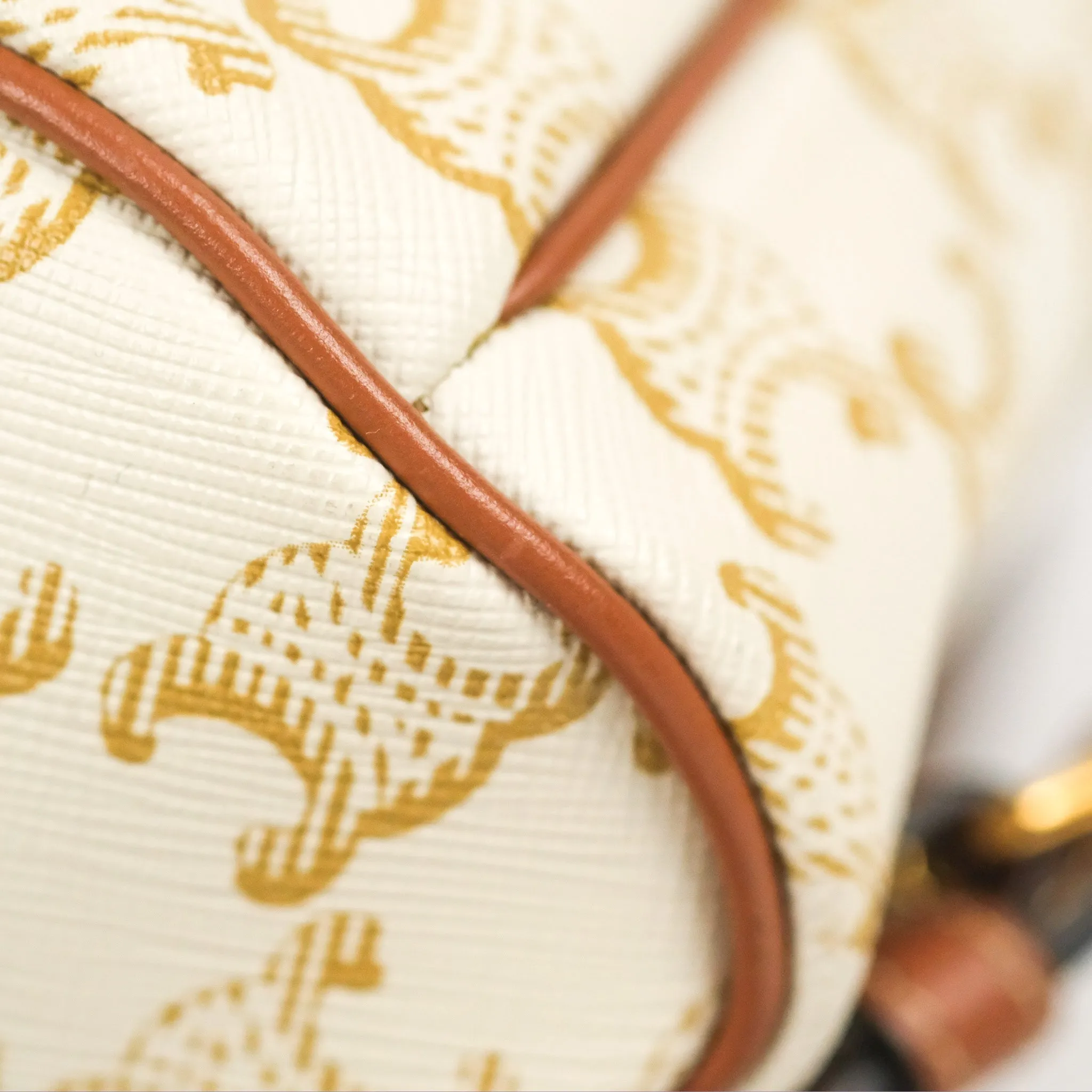 Celine Mini Floco Backpack Triomphe Canvas White Tan Calfskin