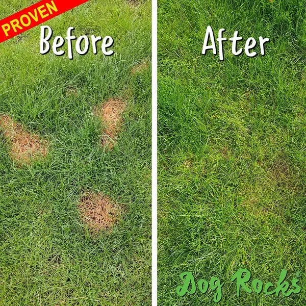 Dog Rocks - Save your Lawn