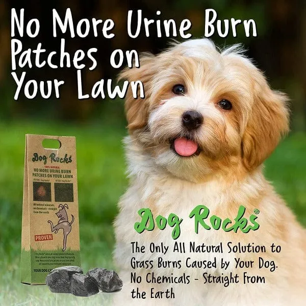 Dog Rocks - Save your Lawn