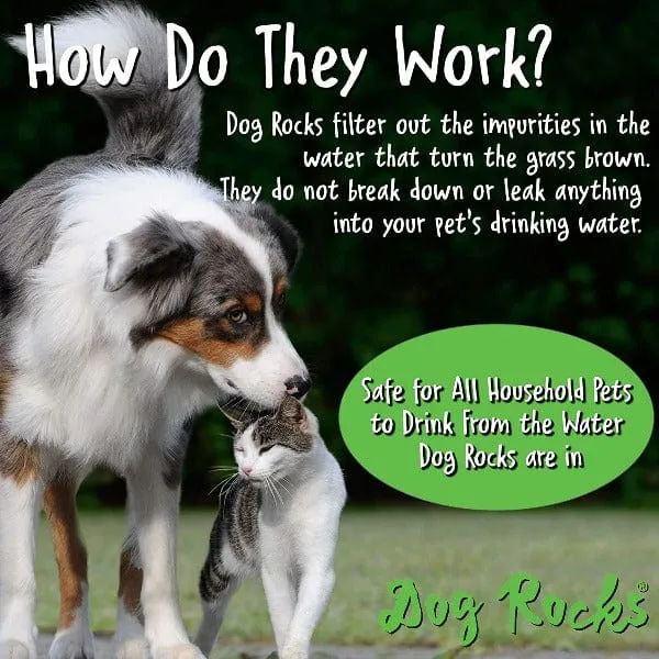 Dog Rocks - Save your Lawn