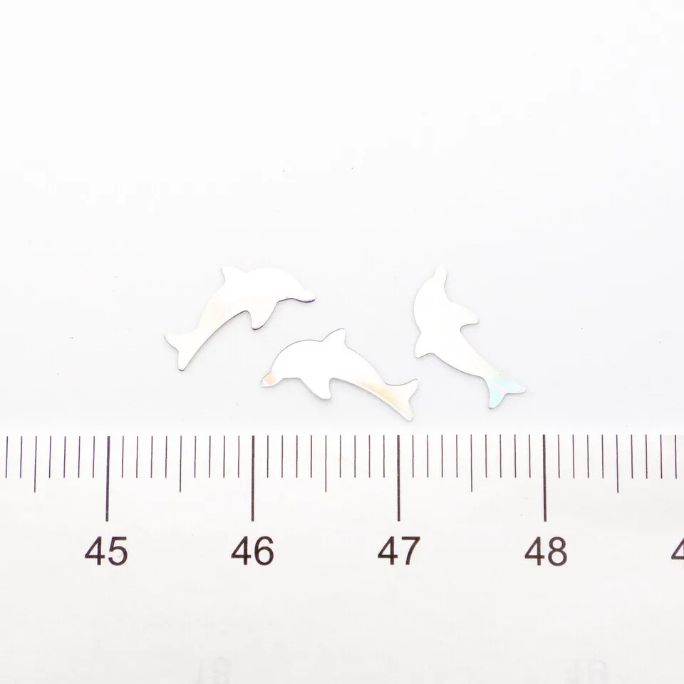 Dolphin Holographic Confetti Glitter