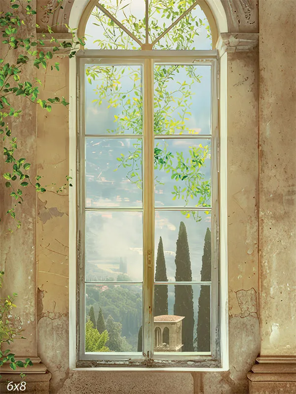 Elegant Vintage Window Photography Backdrop