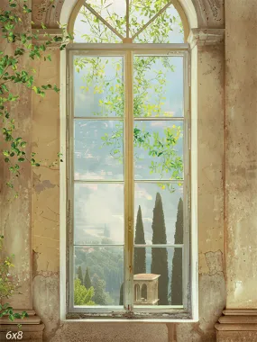 Elegant Vintage Window Photography Backdrop