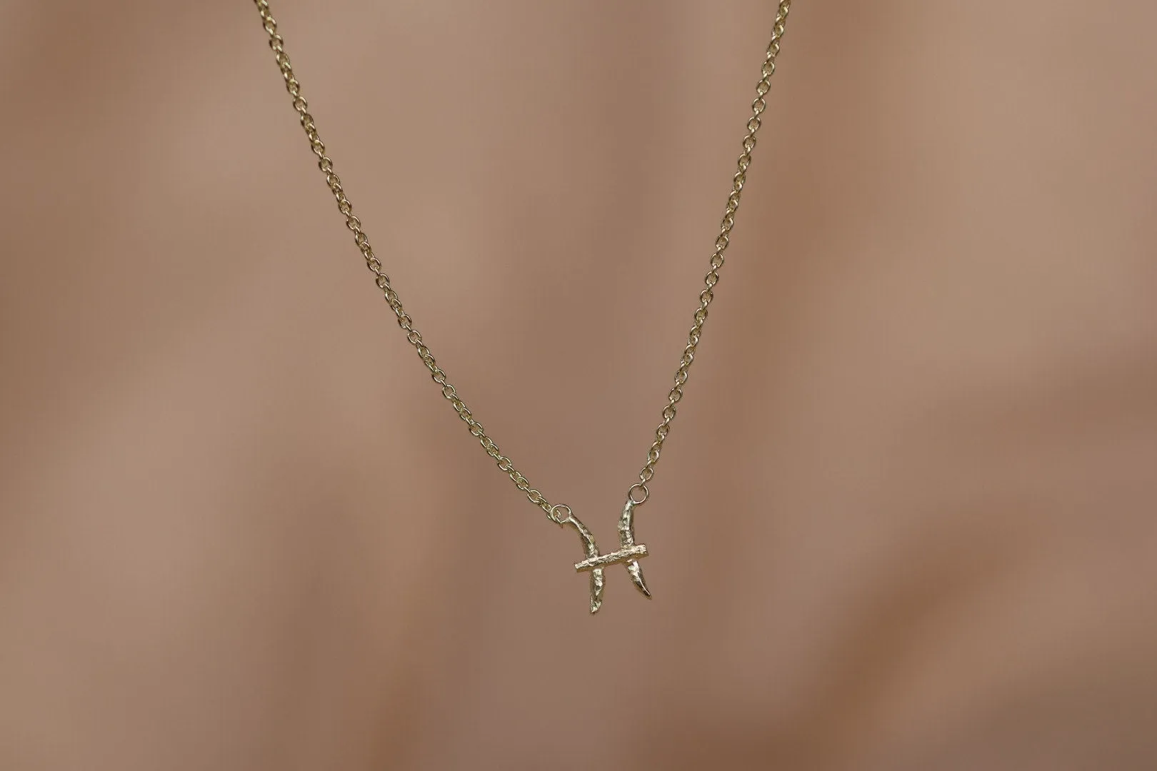 Pisces Gold Vermeil Necklace