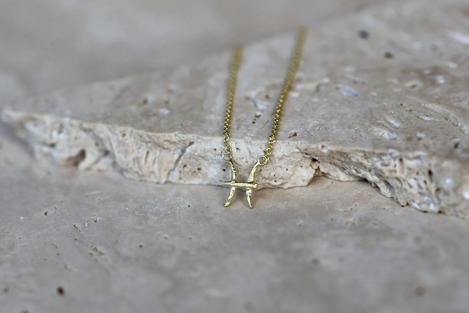 Pisces Gold Vermeil Necklace