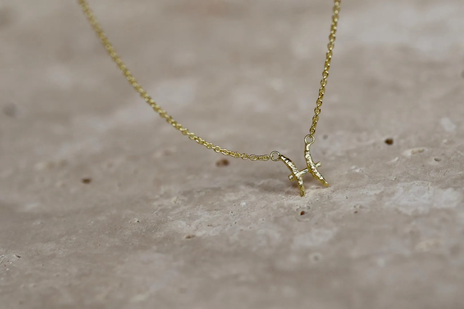 Pisces Gold Vermeil Necklace