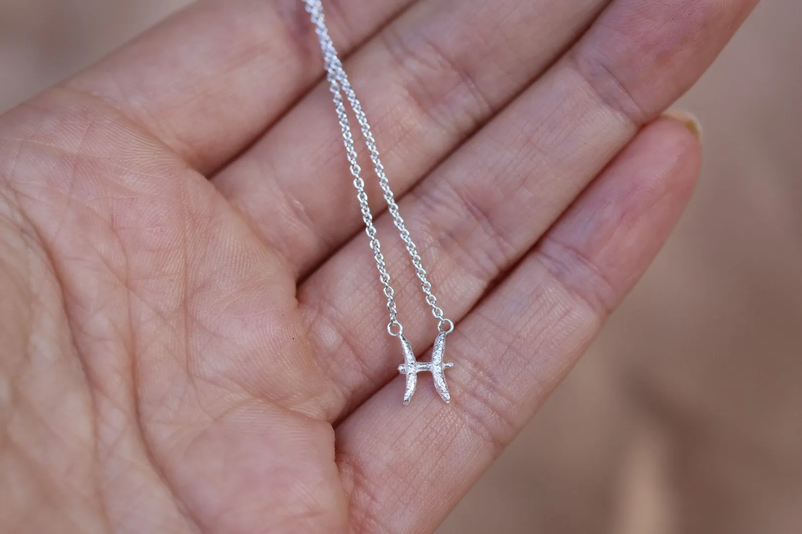 Pisces Silver Necklace