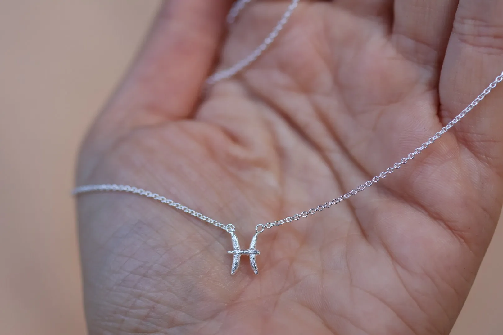 Pisces Silver Necklace
