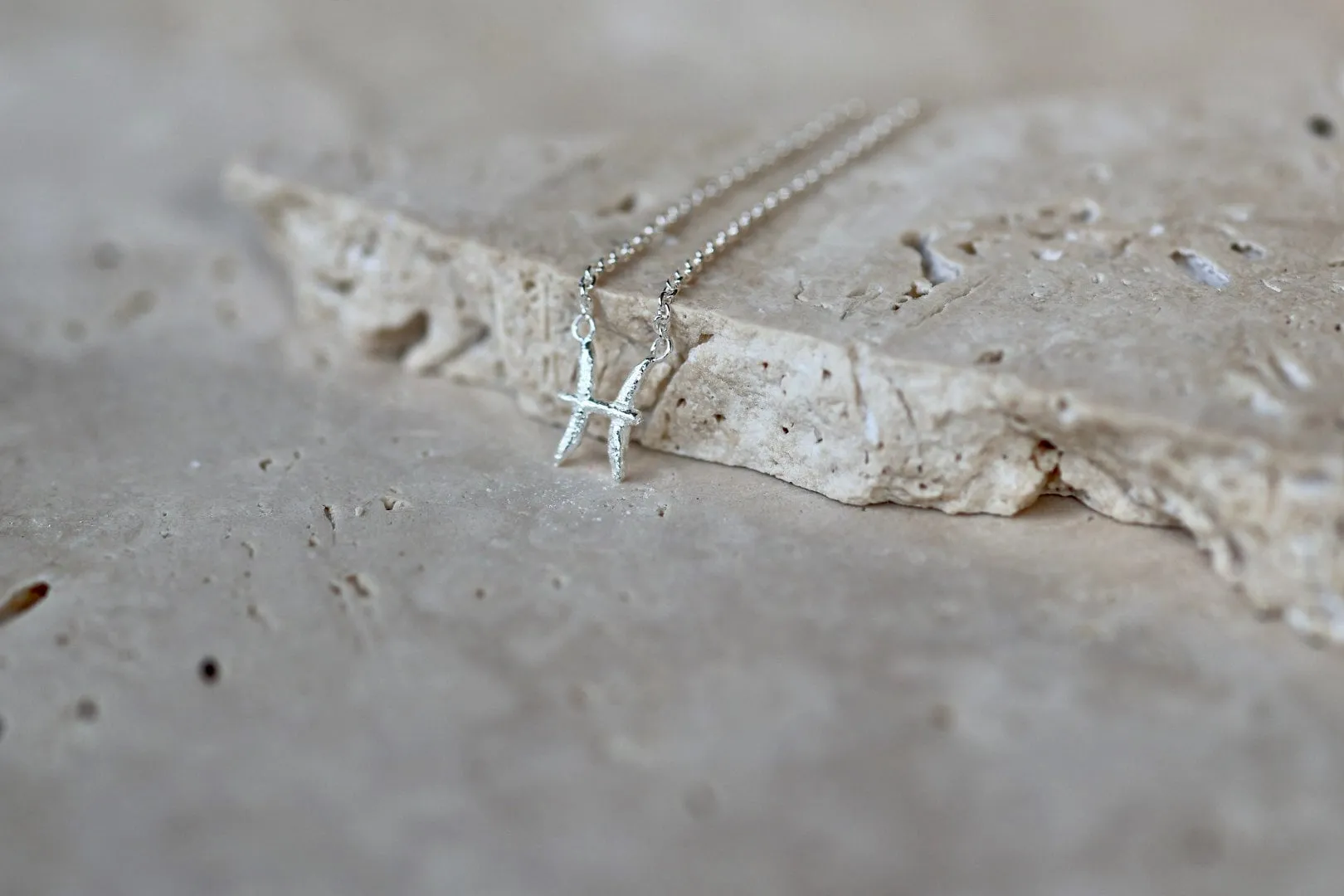Pisces Silver Necklace