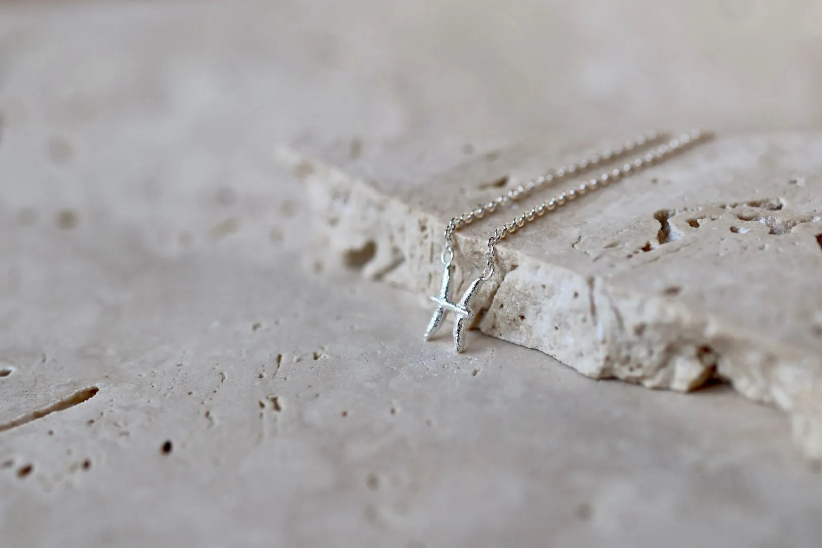 Pisces Silver Necklace