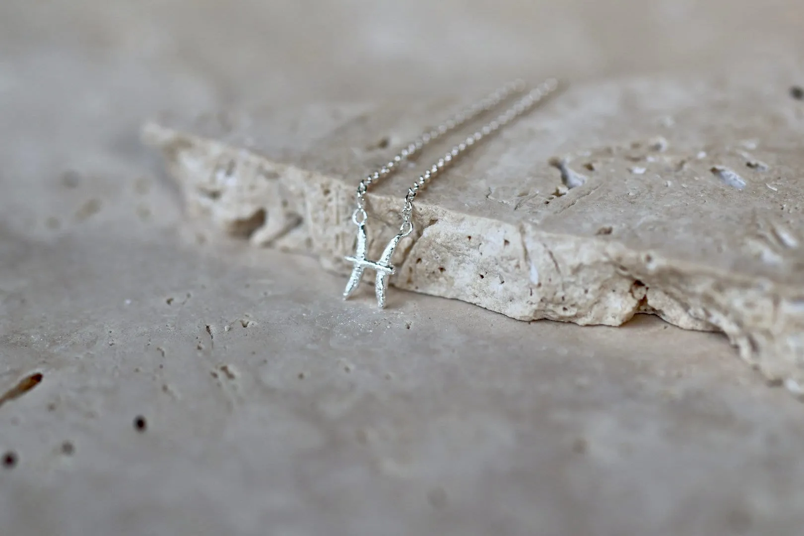 Pisces Silver Necklace