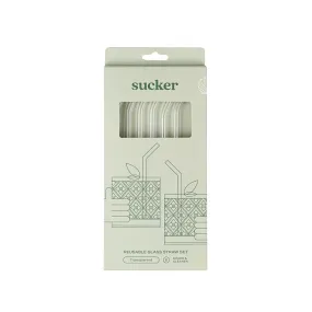 Reusable Glass Drinking Straws -transparent