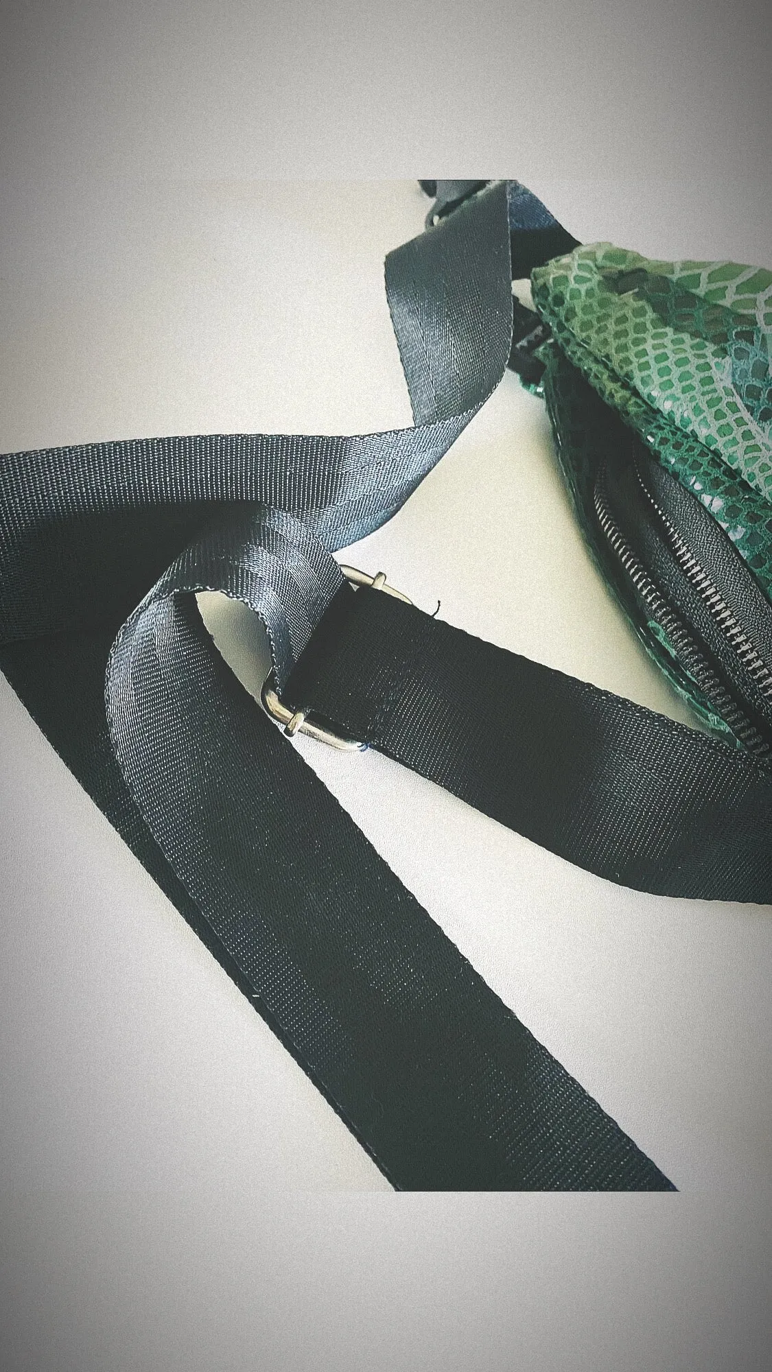 Snakeskin Bag