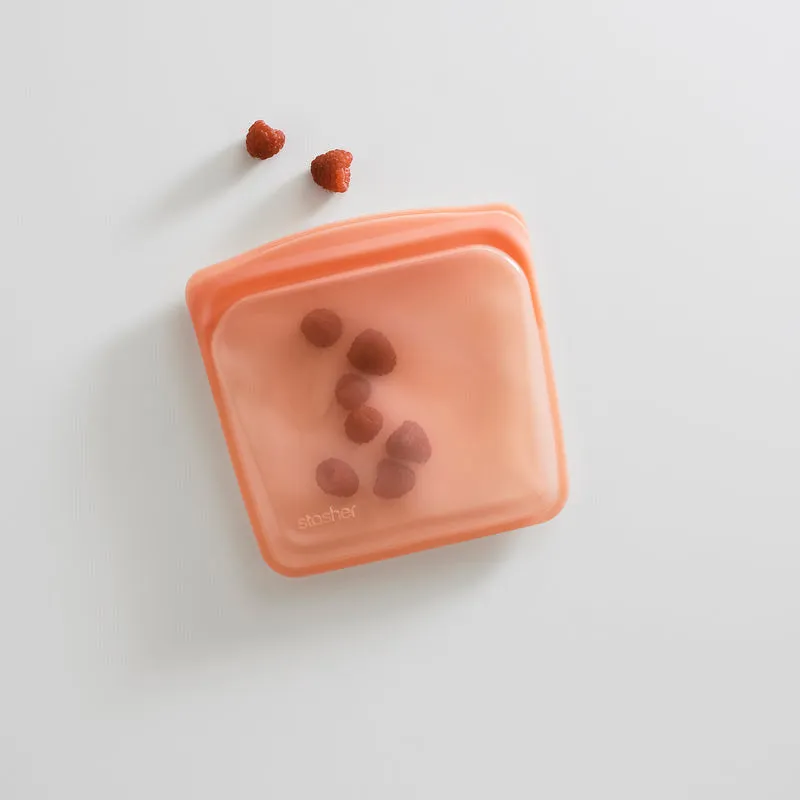 Stasher Silicone Sandwich Bag